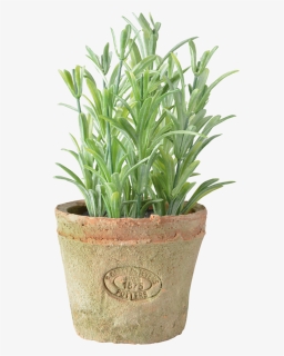 Rosemary In At Pot S - Esschert Design, HD Png Download, Free Download