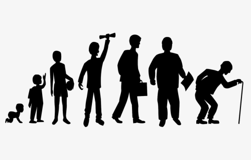 Stage Silhouette Png - Human Circle Of Life, Transparent Png, Free Download