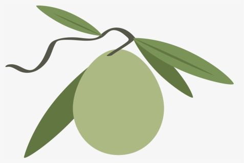Olive , Png Download - Fruit, Transparent Png, Free Download