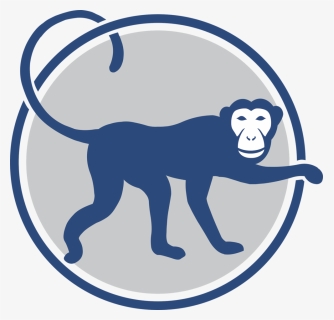 Monkey Icon-min - Blue Monkey Icon, HD Png Download, Free Download