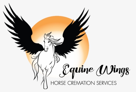 Equine Wings Logo - Logos Horse With Wings, HD Png Download, Free Download