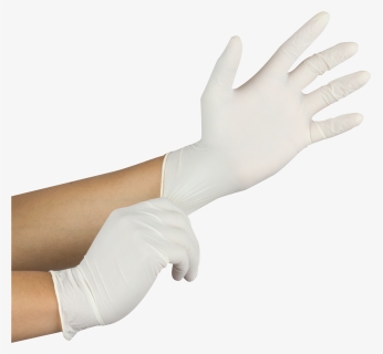 Medical Gloves Png - White Medical Gloves Png, Transparent Png, Free Download
