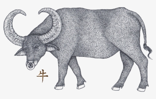 Ox Horoscope - Bull, HD Png Download, Free Download