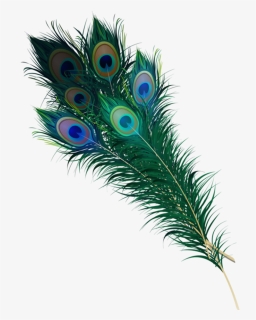 Peacock Feather Hd Png Image - Feather, Transparent Png, Free Download