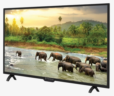Sri Lanka Elephants, HD Png Download, Free Download