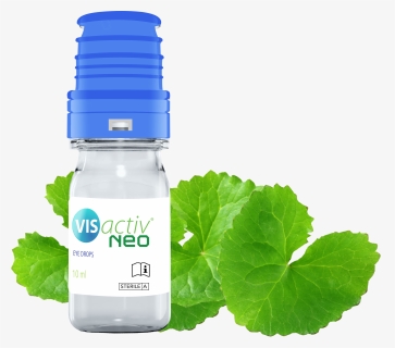 Centella Asiatica, HD Png Download, Free Download