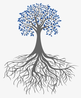 Root Portable Network Graphics Clip Art Tree Branch - Black And White Simple Drawings, HD Png Download, Free Download
