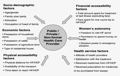 Determinants Of Health Seeking Behaviour, HD Png Download, Free Download