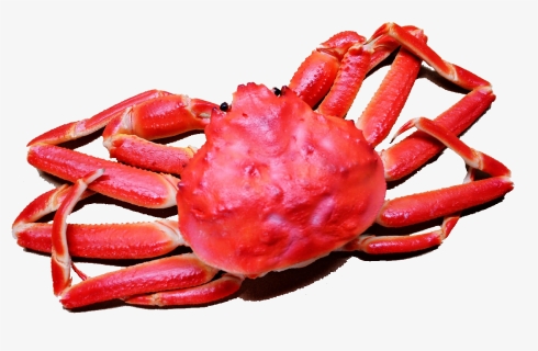 Transparent Red Crab Png - Snow Crab Png Transparent, Png Download, Free Download