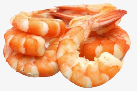 Shrimp Png Pic - Shrimp Transparent Background Cooked, Png Download, Free Download