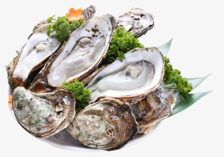 Transparent Oysters Png - Устрицы Png, Png Download, Free Download