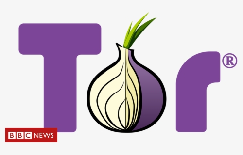Tor Logo - Elephant Garlic, HD Png Download, Free Download