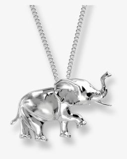 Nicole Barr Designs Sterling Silver Elephant Necklace - Silver Jewelry With Transparent Background, HD Png Download, Free Download