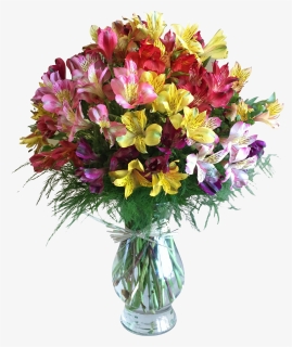 Lily Of The Incas In Houston, - Flower Arrangements Using Carnations, HD Png Download, Free Download
