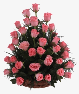 Pink Beauty - Garden Roses, HD Png Download, Free Download