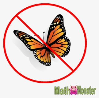 There Are No Butterflies In Math - Transparent 3d Butterfly Png, Png Download, Free Download