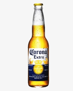 Corona Beer Png Transparent, Png Download, Free Download