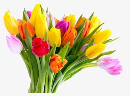 Free Png Download Mothers Day Tulip Flower Bouquet - Tulip Flower Png Hd, Transparent Png, Free Download