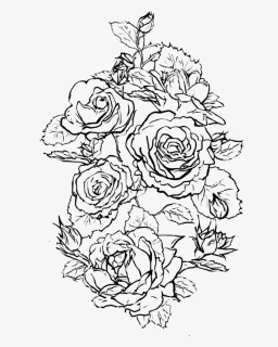 Floribunda, HD Png Download, Free Download