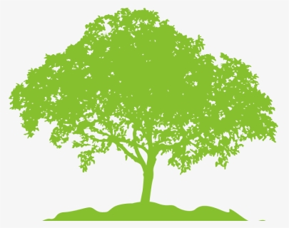 Silhouette Tree Clip Art - Move Your Not A Tree, HD Png Download, Free Download