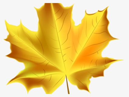 Clip Art Fall Leaves Transparent Background, HD Png Download, Free Download