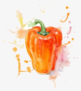 Watercolor Painting Vegetable Illustration - Carolina Reaper Chilli Drawing, HD Png Download, Free Download