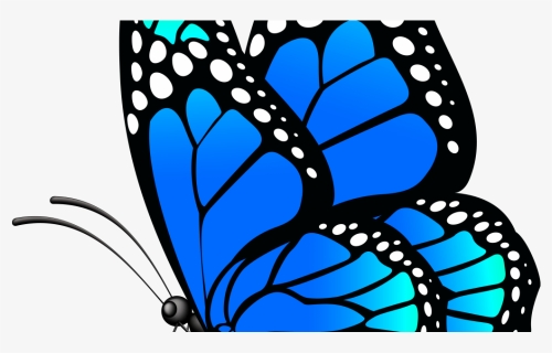 Butterfly Hd Png Download Clipart , Png Download - Vaux-de-cernay Abbey, Transparent Png, Free Download