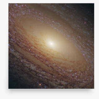 Spiral Galaxy Ngc - Ngc 2841, HD Png Download, Free Download