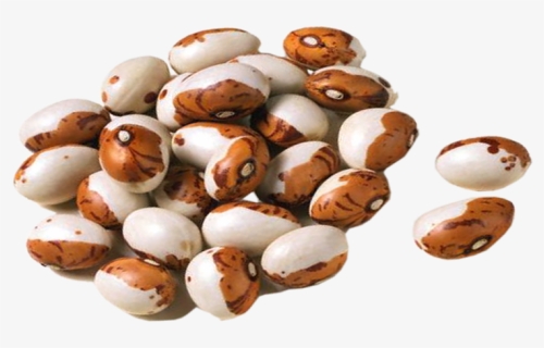 Kidney Beans Png - Квасоля Png, Transparent Png, Free Download