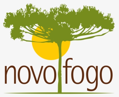 Novo Fogo Logo, HD Png Download, Free Download