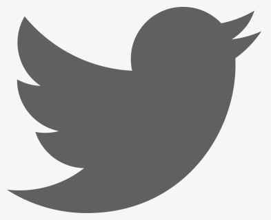 Twitter Red Logo Png , Png Download - Twitter Logo Png 2020, Transparent Png, Free Download