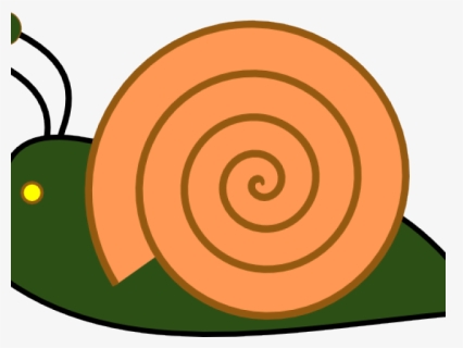 Slug Png , Png Download - Caracol Clipart, Transparent Png, Free Download