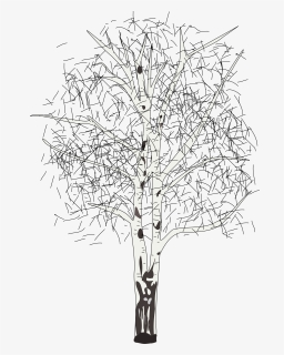 Leafless Birch Clip Arts - Birch Winter Tree Clipart, HD Png Download, Free Download