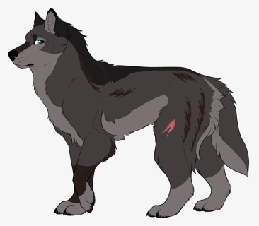 Picture - Schipperke, HD Png Download, Free Download