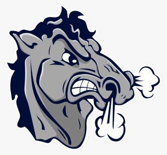 Stallions Baseball, HD Png Download, Free Download