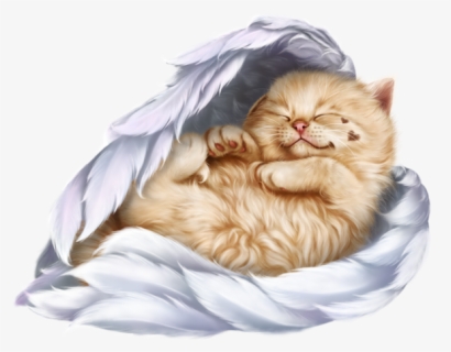 Persian Cat Clipart Gato - Cute Good Night Love You, HD Png Download, Free Download