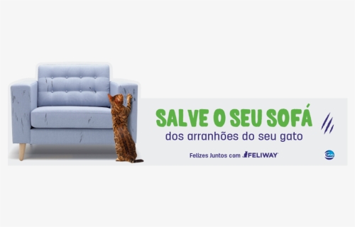 Feliscratch Topo - Studio Couch, HD Png Download, Free Download