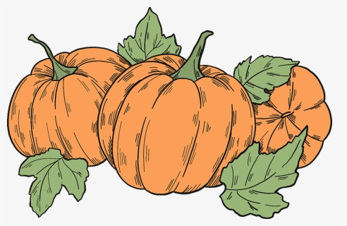 Pumpkin Patch Clipart - Pumpkin, HD Png Download, Free Download