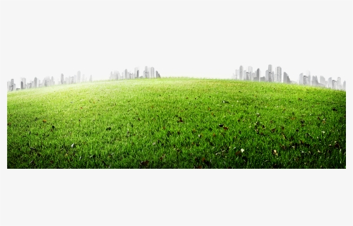 Meadow 5200*3458 Transprent Png Free Download , Png, Transparent Png, Free Download