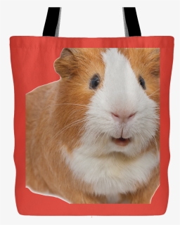 Guinea Pig Smiling, HD Png Download, Free Download