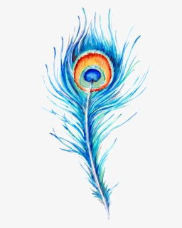 Peacock Feather Hand Drawn Illustration - Peacock Feather Graphic Png, Transparent Png, Free Download