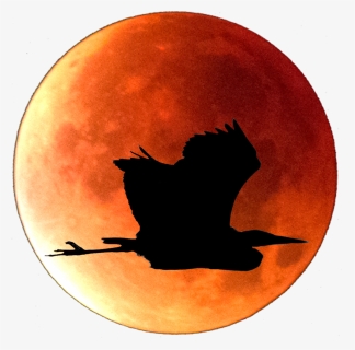 Red Moon Png , Png Download - Circle, Transparent Png, Free Download
