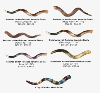 Shofar Png , Png Download - Shofar Bags, Transparent Png, Free Download