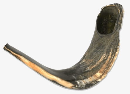 Shofar Horn Png, Transparent Png, Free Download