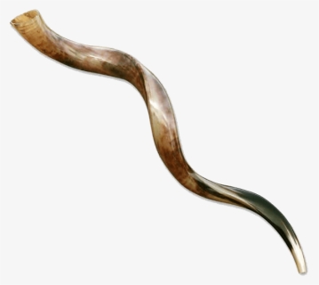 Shofar Yemenite Jambo 65, HD Png Download, Free Download