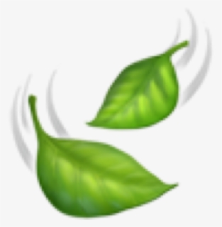 #emoji #iphoneemoji #green #leaf #leaves #foglia #foglie - Illustration, HD Png Download, Free Download