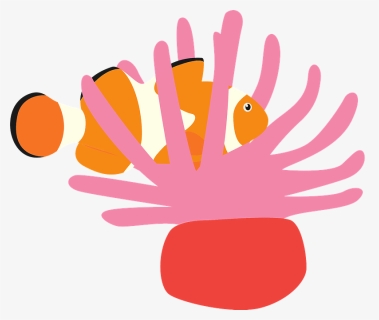 Sea Anemone Ocellaris Clownfish Clipart - イソギンチャク イラスト, HD Png Download, Free Download