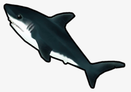 S Journey Wiki - Great White Shark, HD Png Download, Free Download