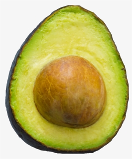 Avocado , Png Download - Avocado, Transparent Png, Free Download