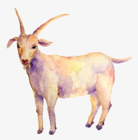 Capricorn-moon - Goat, HD Png Download, Free Download